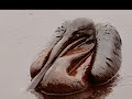 Gulf Coast Oil Spill Disaster - Official Music Video - A Hole In The Ocean
