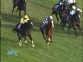 2008年天皇賞秋