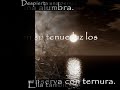 Lloro