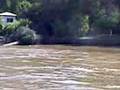 mi isla( tigre)