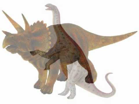 rugops