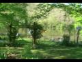 Spring - Printemps - Gorge Du Lot - Aveyron