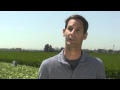 Family Farmer Talks About LEED Certification - Part II 