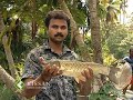 Fresh water fish cultivation : A success story of a young farmer