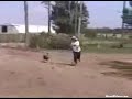 El ataque de la gallina asesina a un hombre