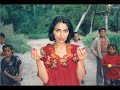 About Pamirians(pamiri people)