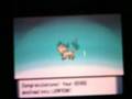 Leafeon and Glaceon