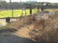 videos de Newsbreak #3 80-09.mov