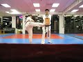 Brown Belt test board break