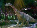 Walking with dinosaurs 2009 (02)