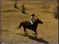 Cavalo Samaritana