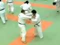 Randori at Kodokan 3 Image 2