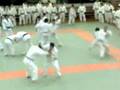 Randori at Kodokan 3