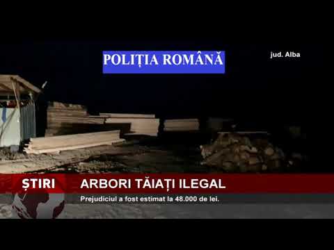 Percheziții, la hoții de lemne din județul Alba