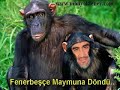 antifener taraftarlar? galatasarayl?lar