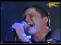 Animal Collective - Pitchfork- Comfy in Nautica