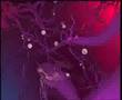 Madonna - Get Together