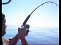 la pesca del mero por paco