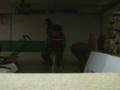 videos de racoon ecapes! pow!