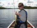 BWCA trip 2007 Big Walleyes