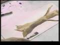 videos de Terry Madden's Watercolor Workshop Simple Tree Texturing