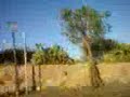 MILAZZO CAPO TAVOLA BAELI SANT'ANTONIO MILAZZO CAPO TAVOLA BAELI SANT'ANTONIO