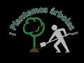 Reforestacion de terreno