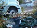 Reforestacion de terreno