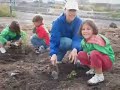 Reforestacion de terreno