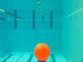 Bouy Ramming