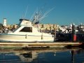 Fishing Charter in Cabo Part 1