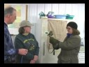 Medina Raptor Center: Falcon & Saw Whet Owl  Medina County Auditor Michael E. Kovack