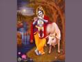 videos de Krishna nee begane baro