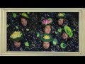 HoldYourHorses 70 million _the impressionists
