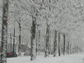 Nevicata 7 Gen Torino