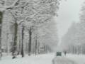 Nevicata 7 Gen Torino