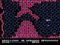 first level of a vey good shoot them up of the nintendo 8bit console - two players - vry difficult without the 30 lives cheat code ;)