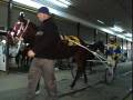 videos de Flamboro Downs Horse Racing *watch in HQ*
