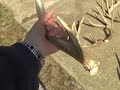 Monster Racks Whitetail, Elk, Cariboo, Mule Deer 20-point Monster Racks Whitetail, Elk, Cariboo, Mule Deer 20-point