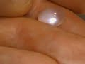 V1608.MP4