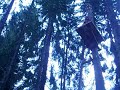 Dolomite Adventure Park