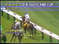 1987 Auckland Cup - KOTARE CHIEF 1987 Auckland Cup - KOTARE CHIEF