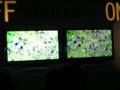 1XX 081002 CEATEC08 TOSHIBA REGZA