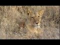 Tusk Trust Documentary - 01 Living With Wildlife