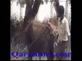 Barnaamijka Dhaqalaha ee TV-ga Soomaaliya Part 2 Barnaamijka Dhaqalaha ee TV-ga Soomaaliya Part 2