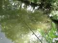 easy fishing