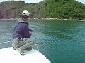 伊万里湾ボートシーバス