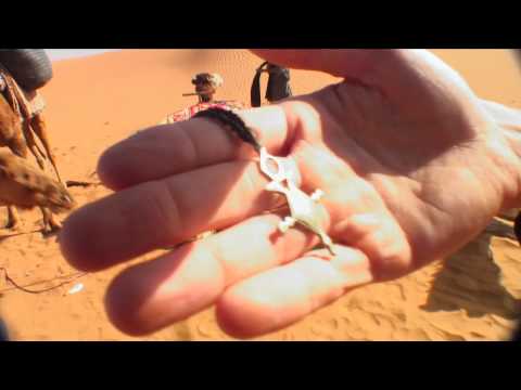 Long Treks on Skate Decks Morocco Episode 6: Arabian Caravan