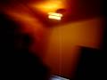 videos de silvester2