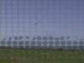 videos de aeromodello a scoppio phoenix 3d  volo al padule 2007
